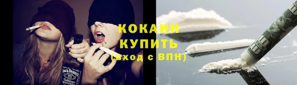 кокс Арсеньев