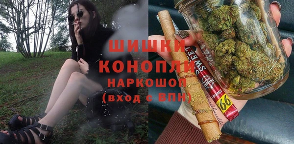 гидра Аркадак