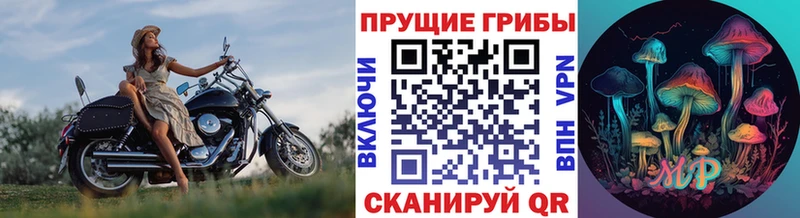 Псилоцибиновые грибы Psilocybine cubensis  hydra онион  Павловский Посад 